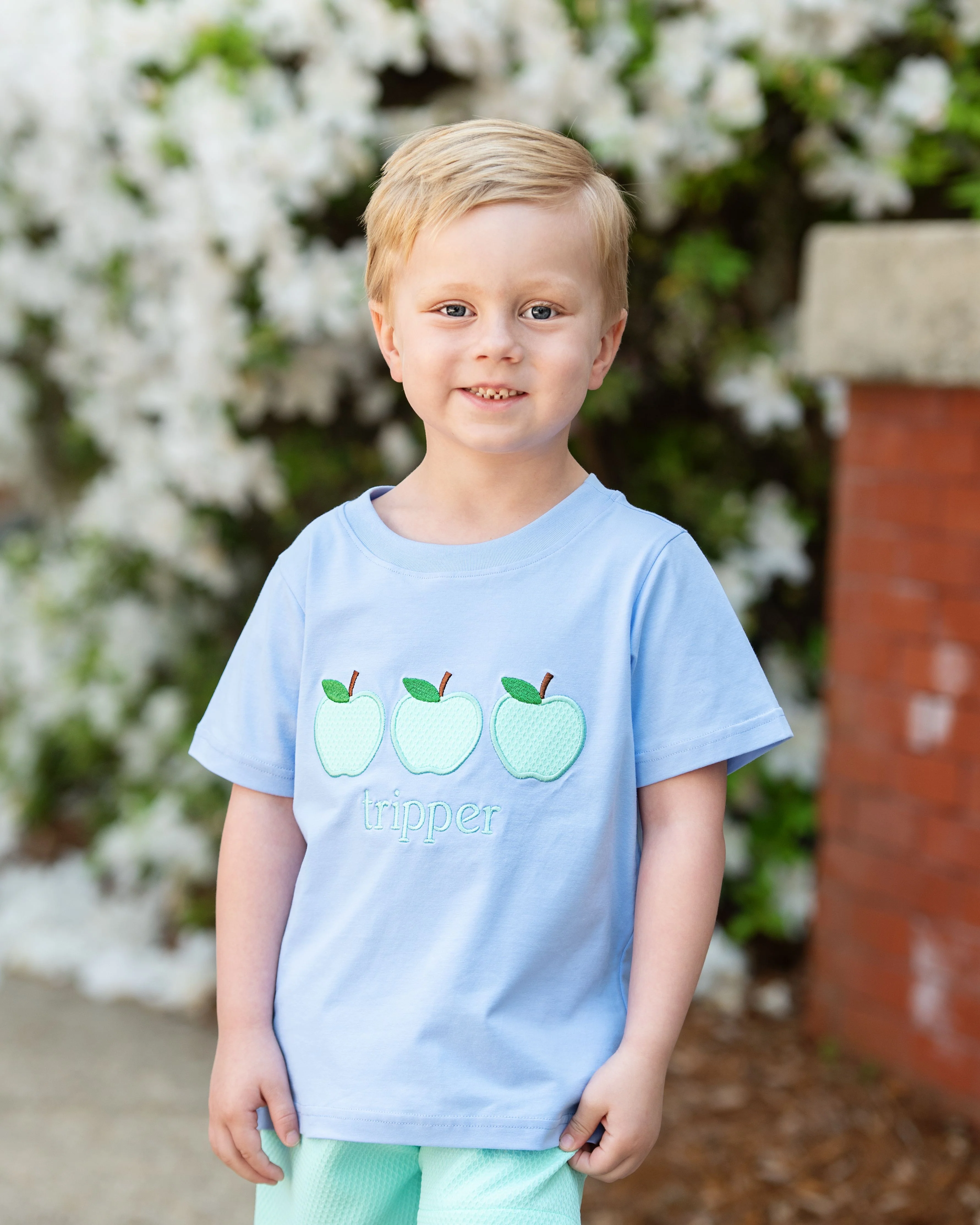 Blue And Mint Honeycomb Applique Apple Short Set - Image 2