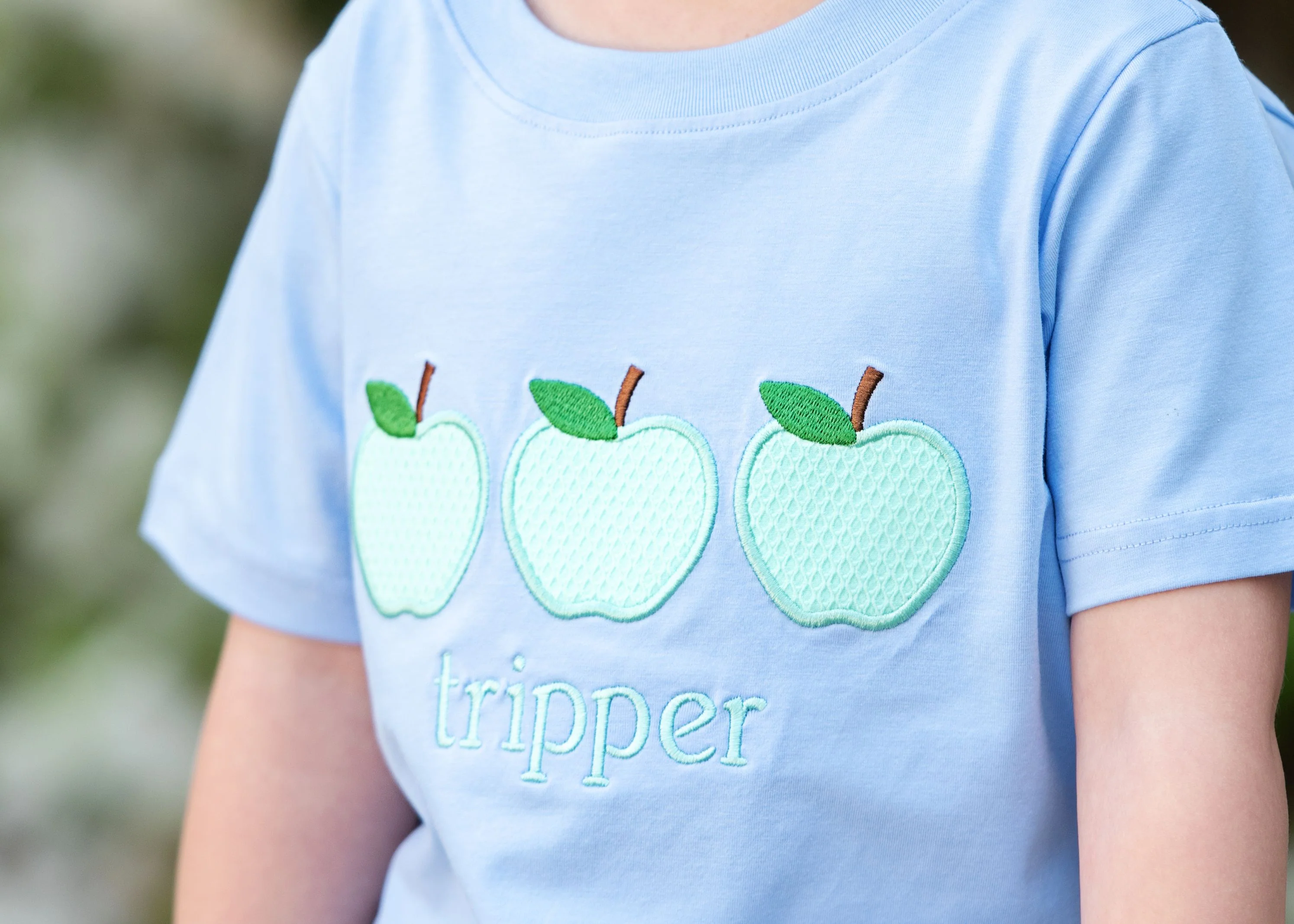 Blue And Mint Honeycomb Applique Apple Short Set - Image 3