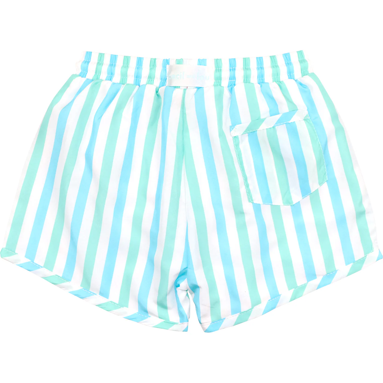 Blue And Mint Stripe Swim Trunks - Image 2