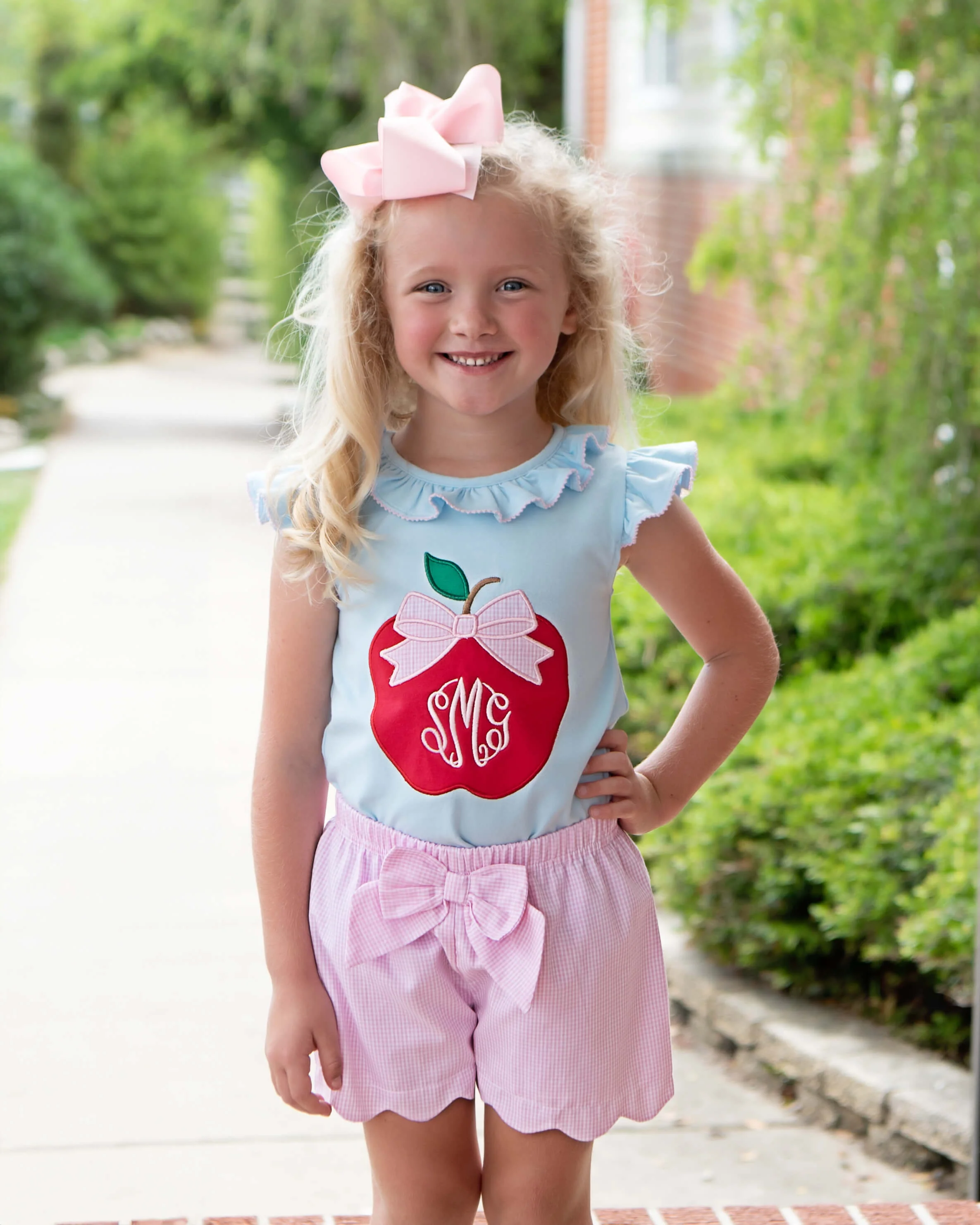 Blue And Pink Gingham Applique Apple Short Set - Image 2
