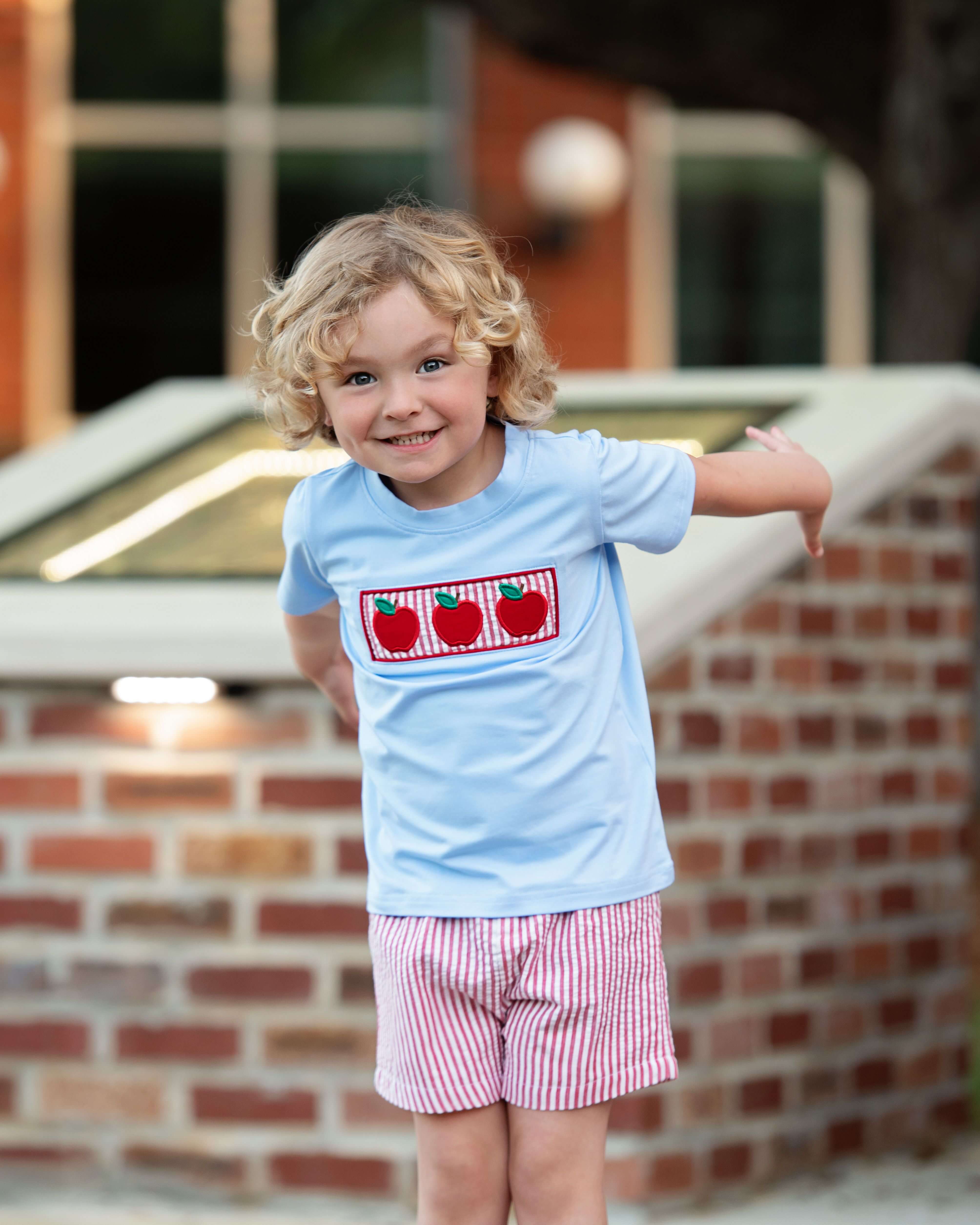 Blue And Red Seersucker Apple Short Set - Image 2