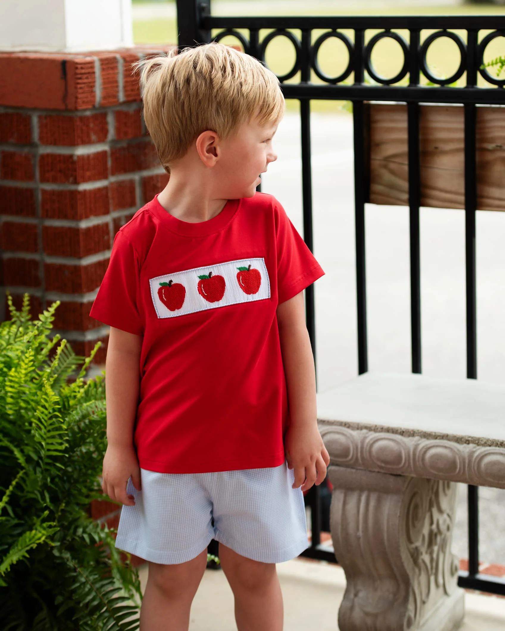 Blue And Red Seersucker Smocked Apple Short Set - Image 2