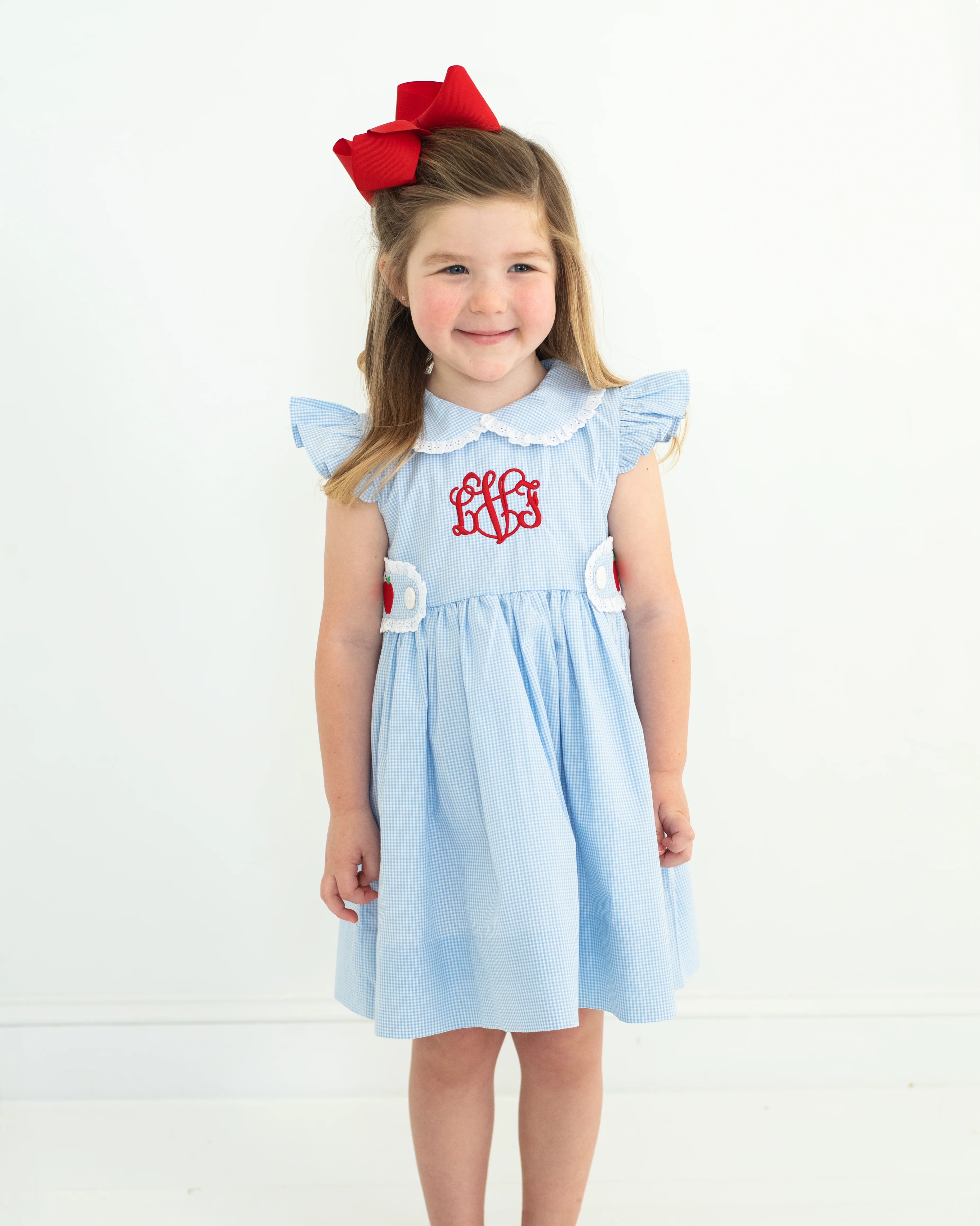 Blue Gingham Apple Eyelet Dress - Image 2