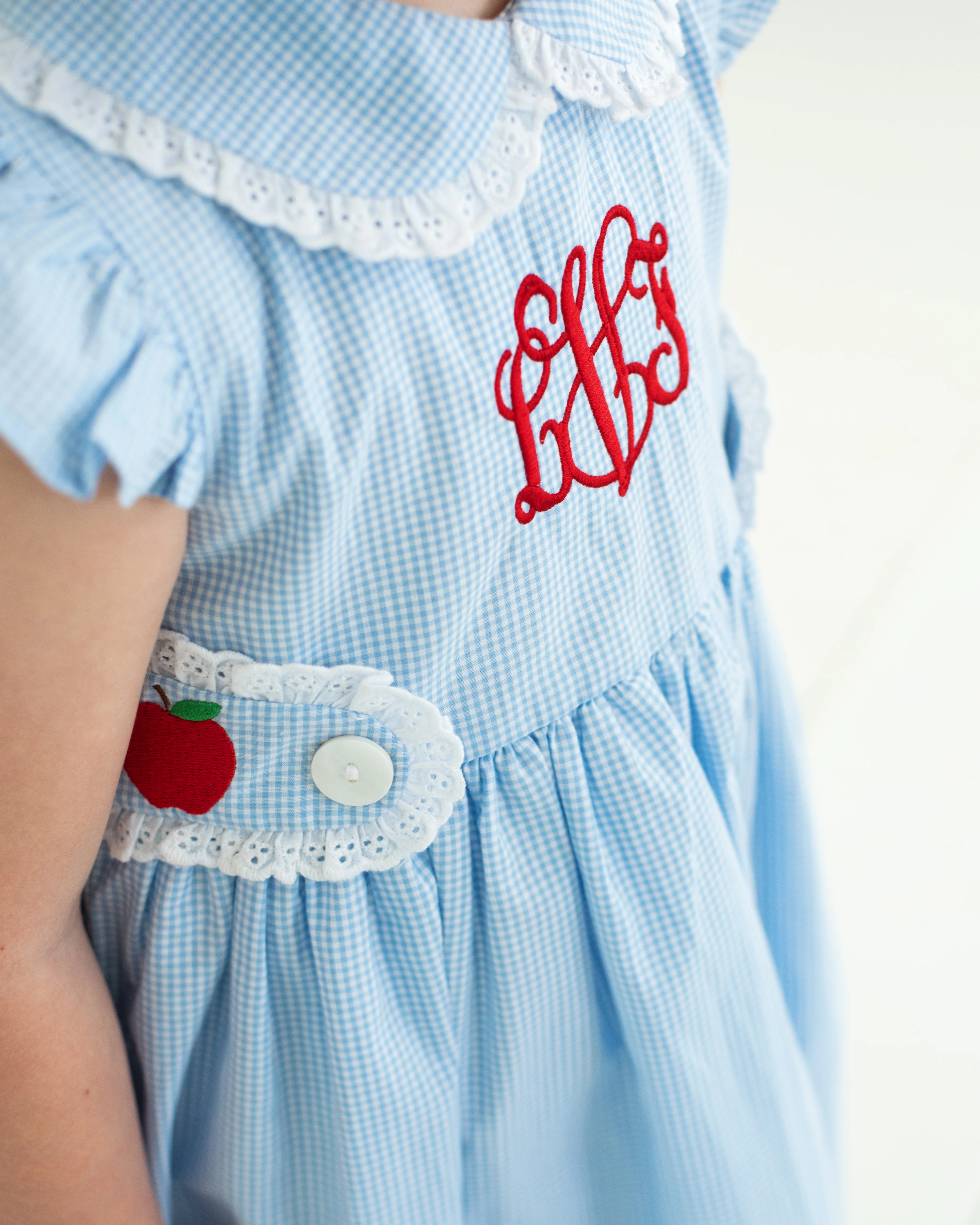 Blue Gingham Apple Eyelet Dress - Image 3