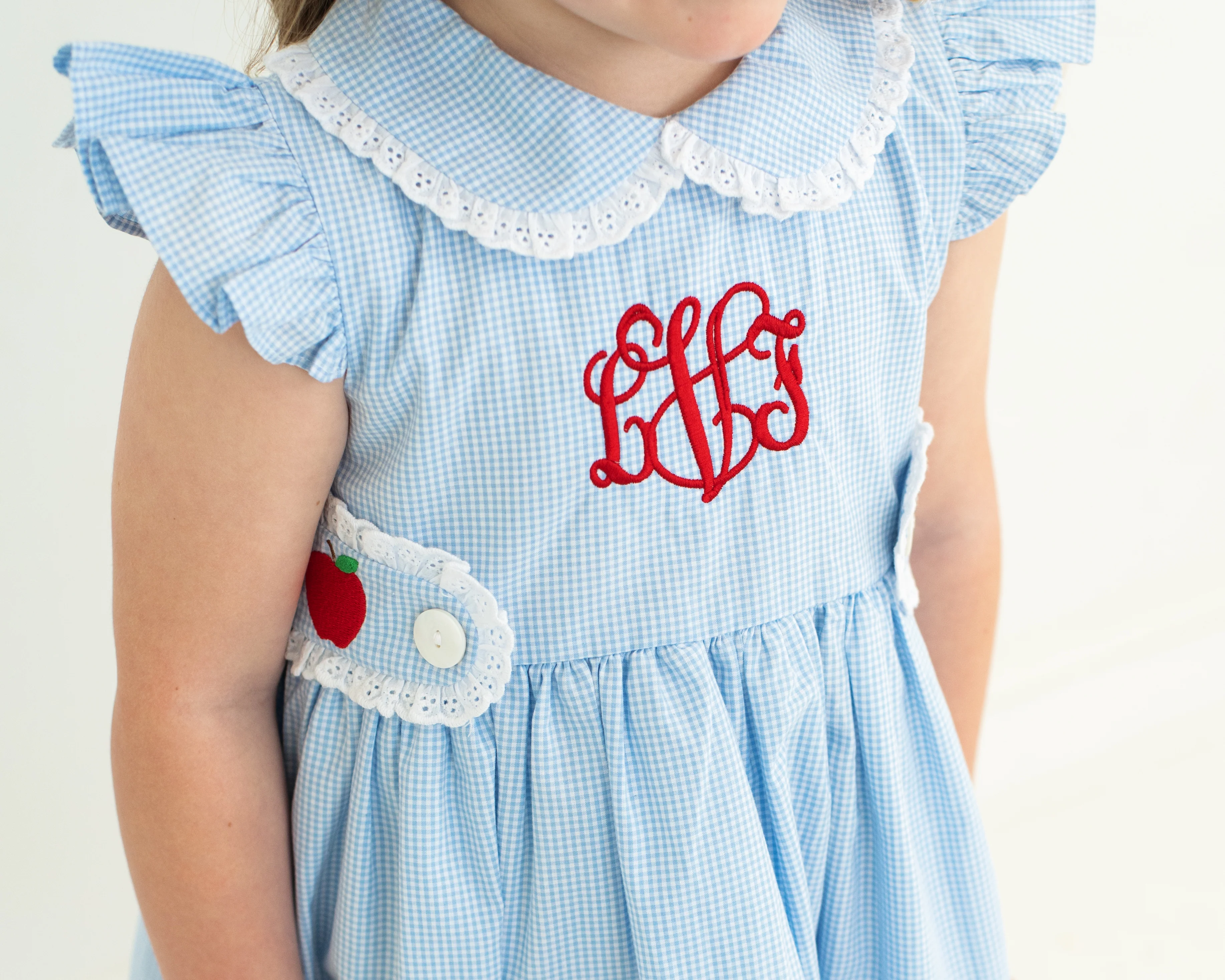 Blue Gingham Apple Eyelet Dress - Image 4