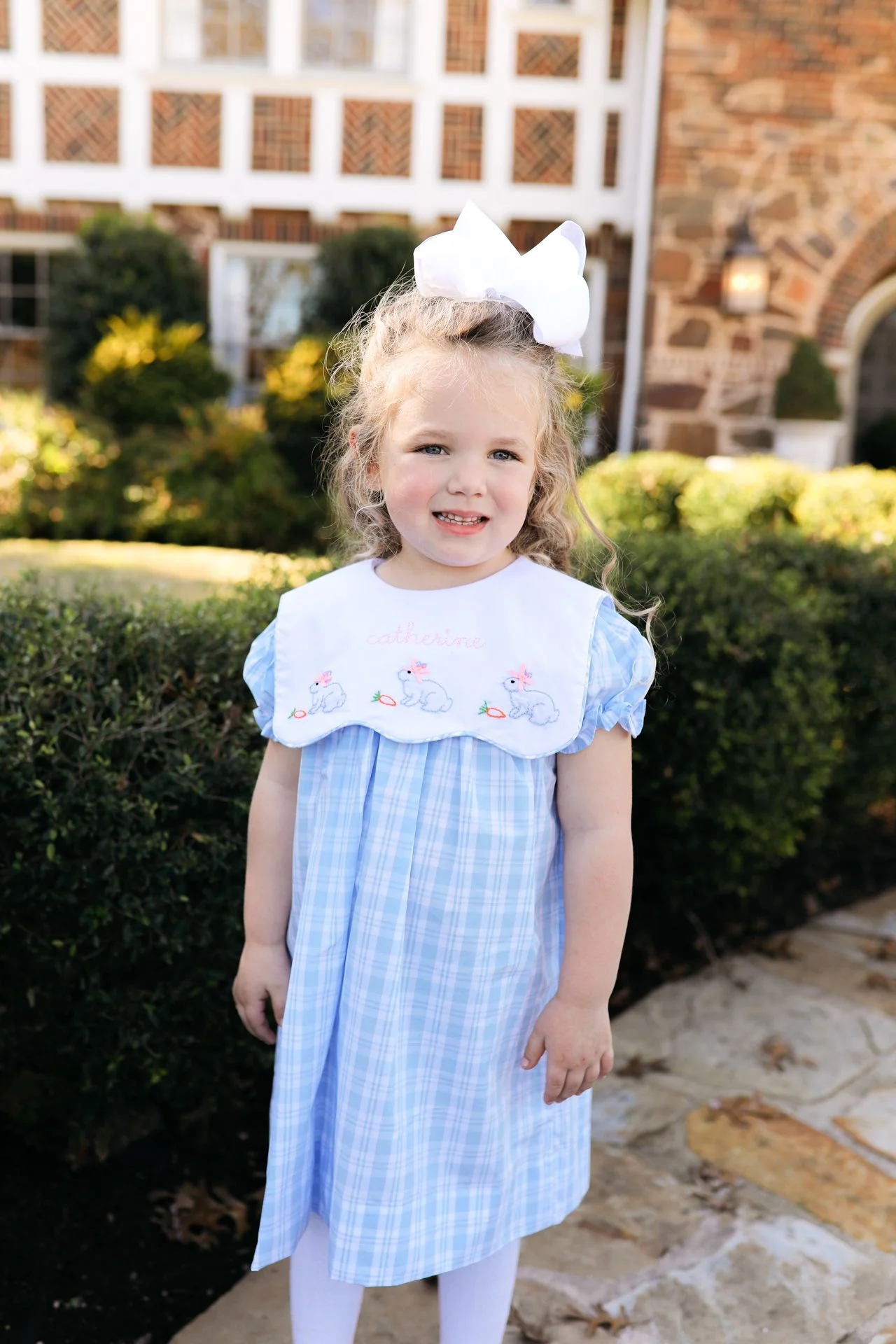 Blue Plaid Bunnies And Carrots Dress - Image 2