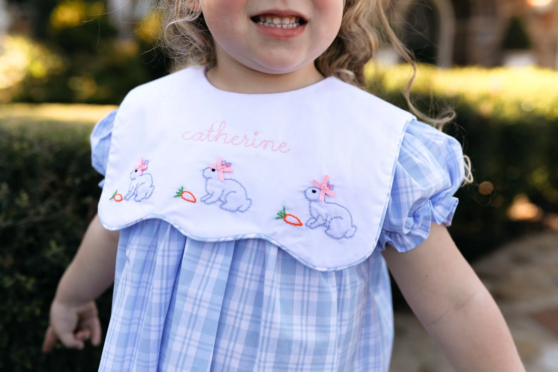 Blue Plaid Bunnies And Carrots Dress - Image 3