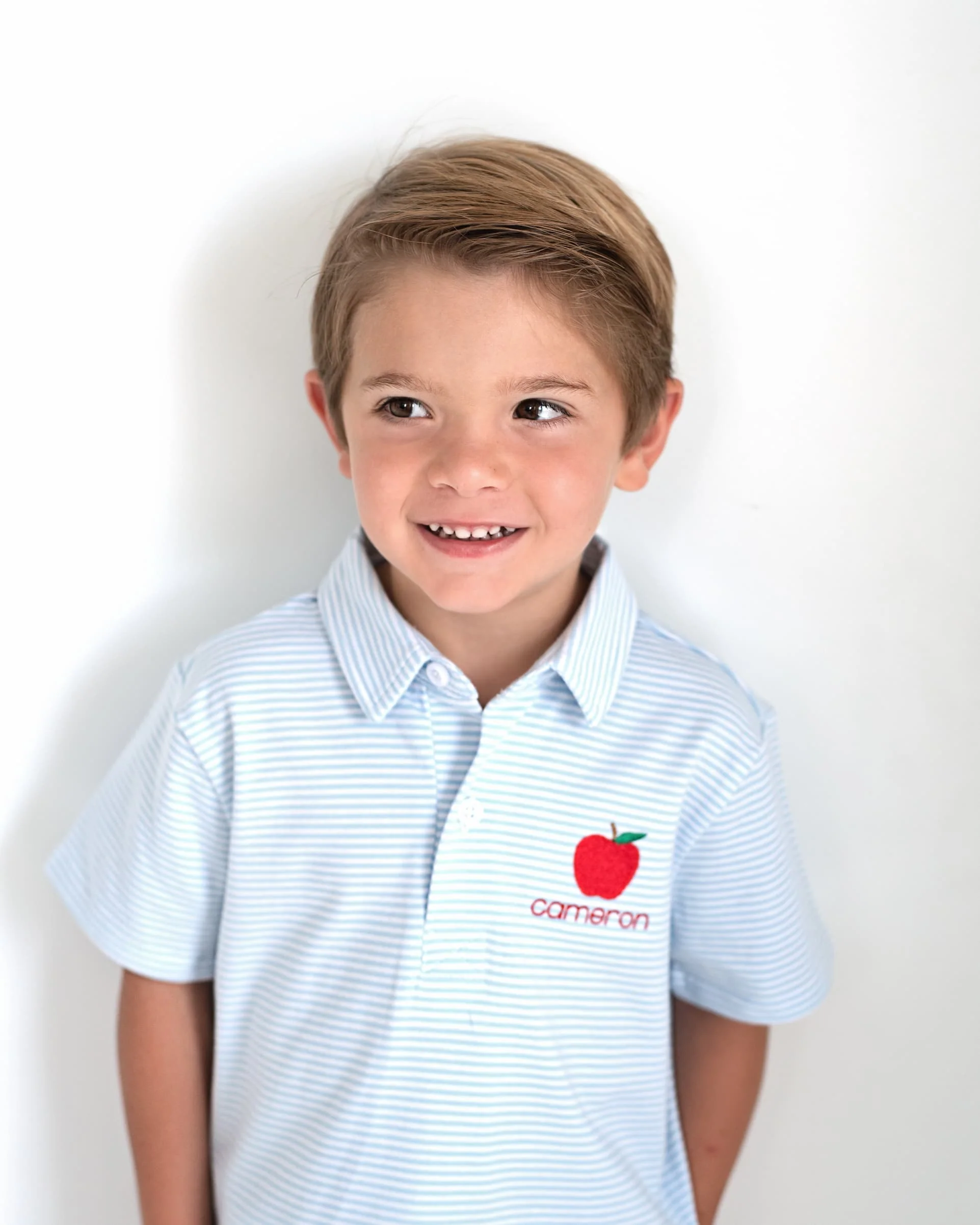 Blue Stripe Knit Embroidered Apple Knit Polo Shirt - Image 2
