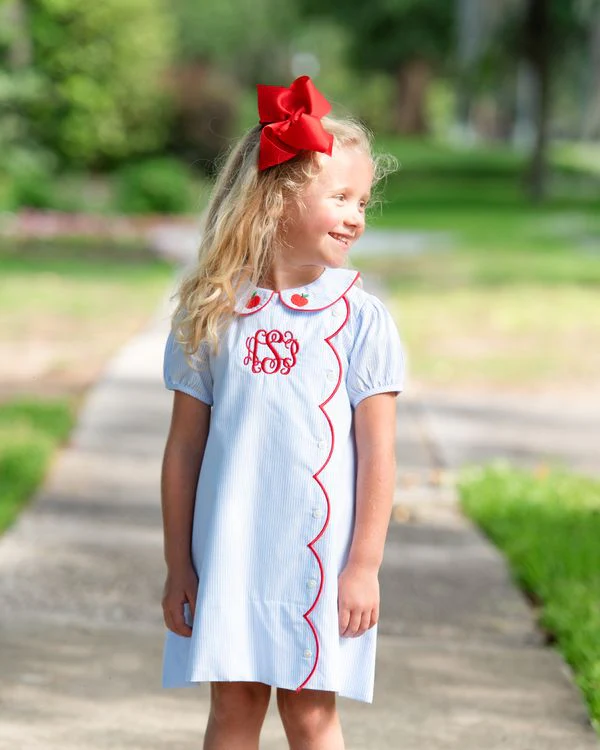 Blue Striped Embroidered Apple Dress - Image 2