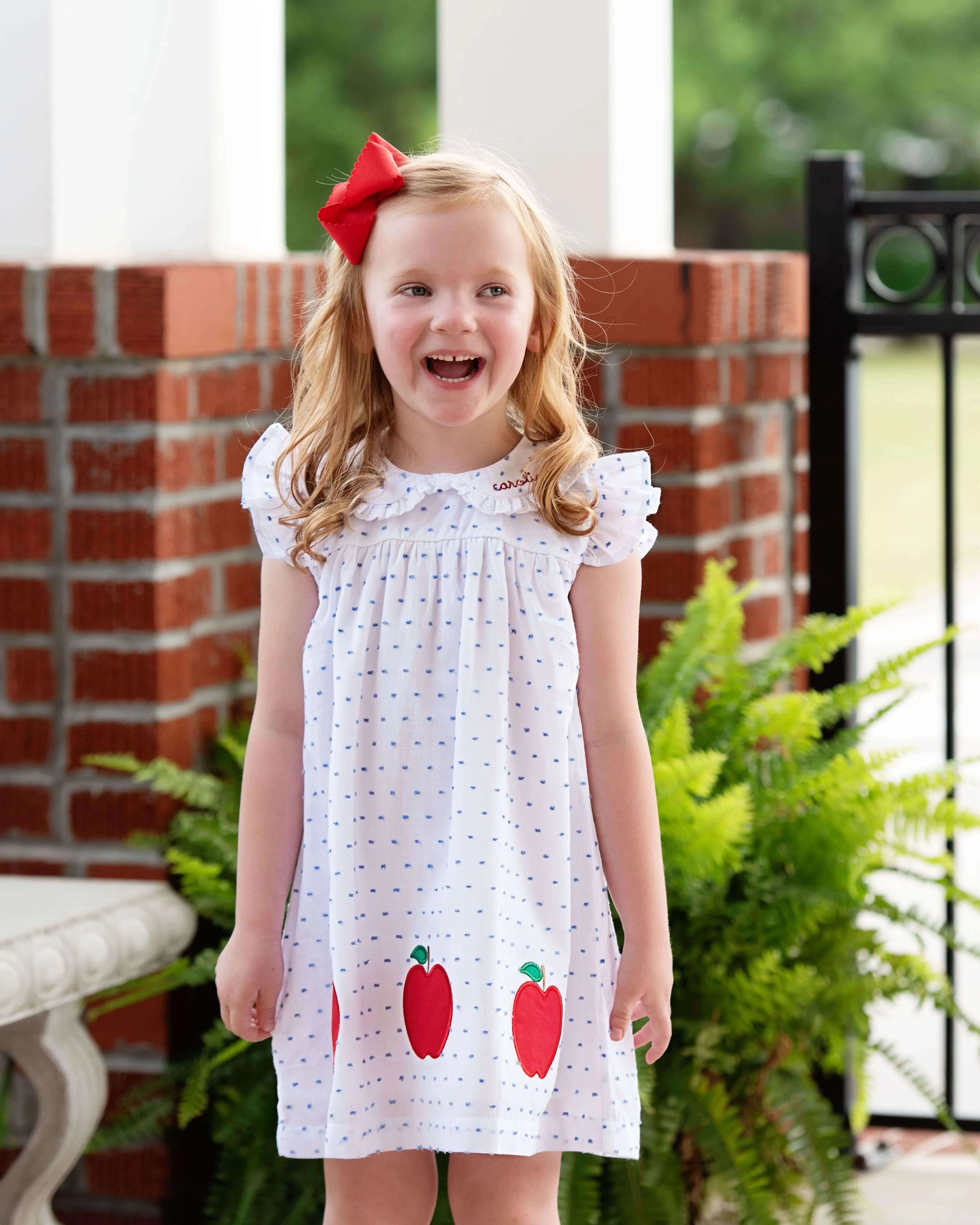 Blue Swiss Dot Applique Apple Dress - Image 2