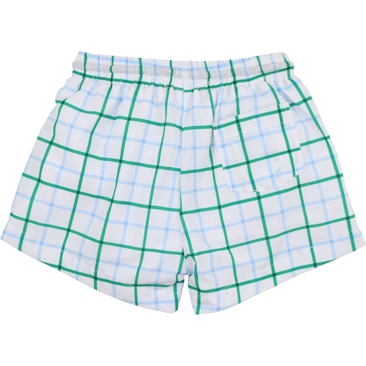 Green And Blue Windowpane Swim Trunks - Image 2