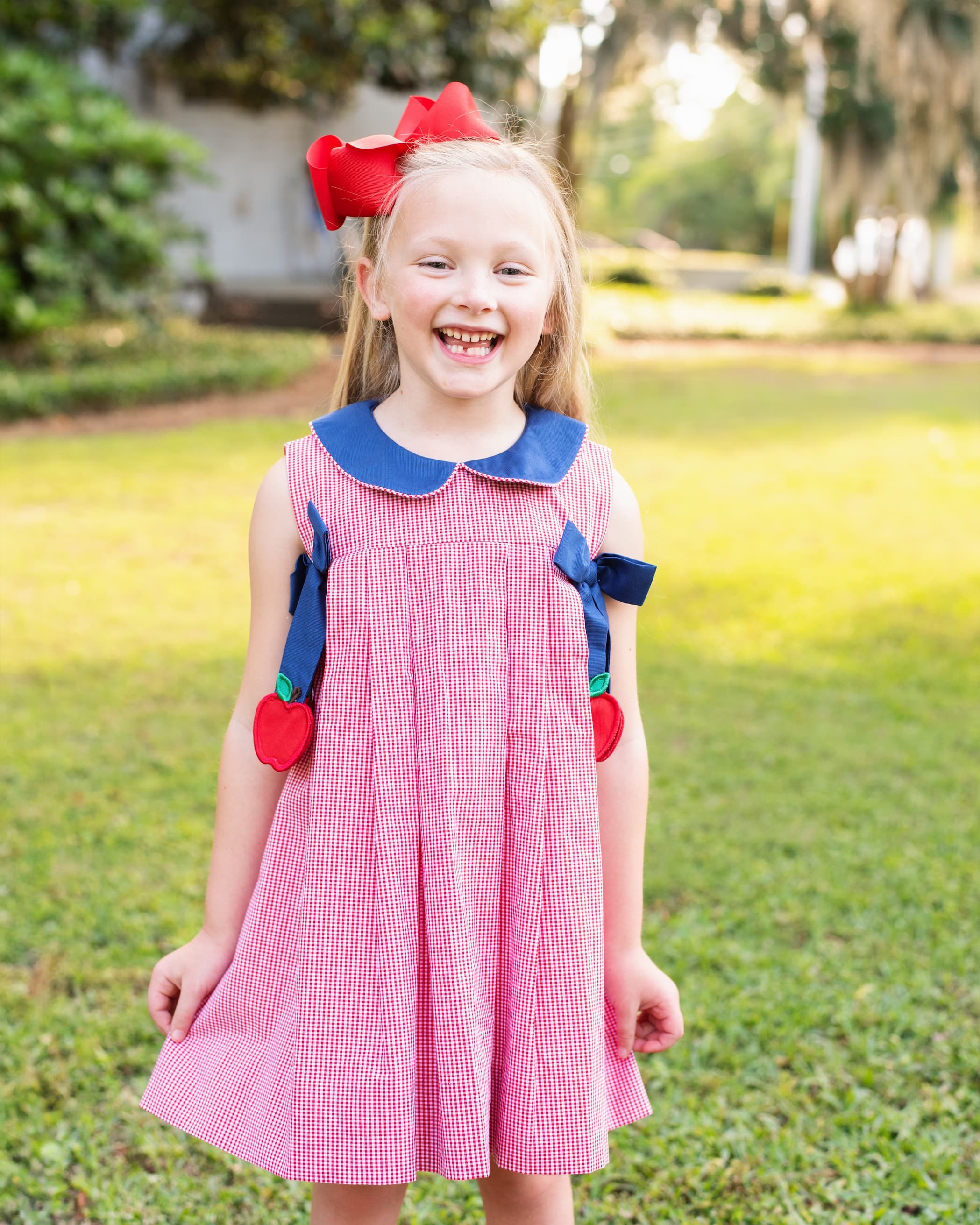 Navy And Red Gingham Apple Bow Dress - Image 2