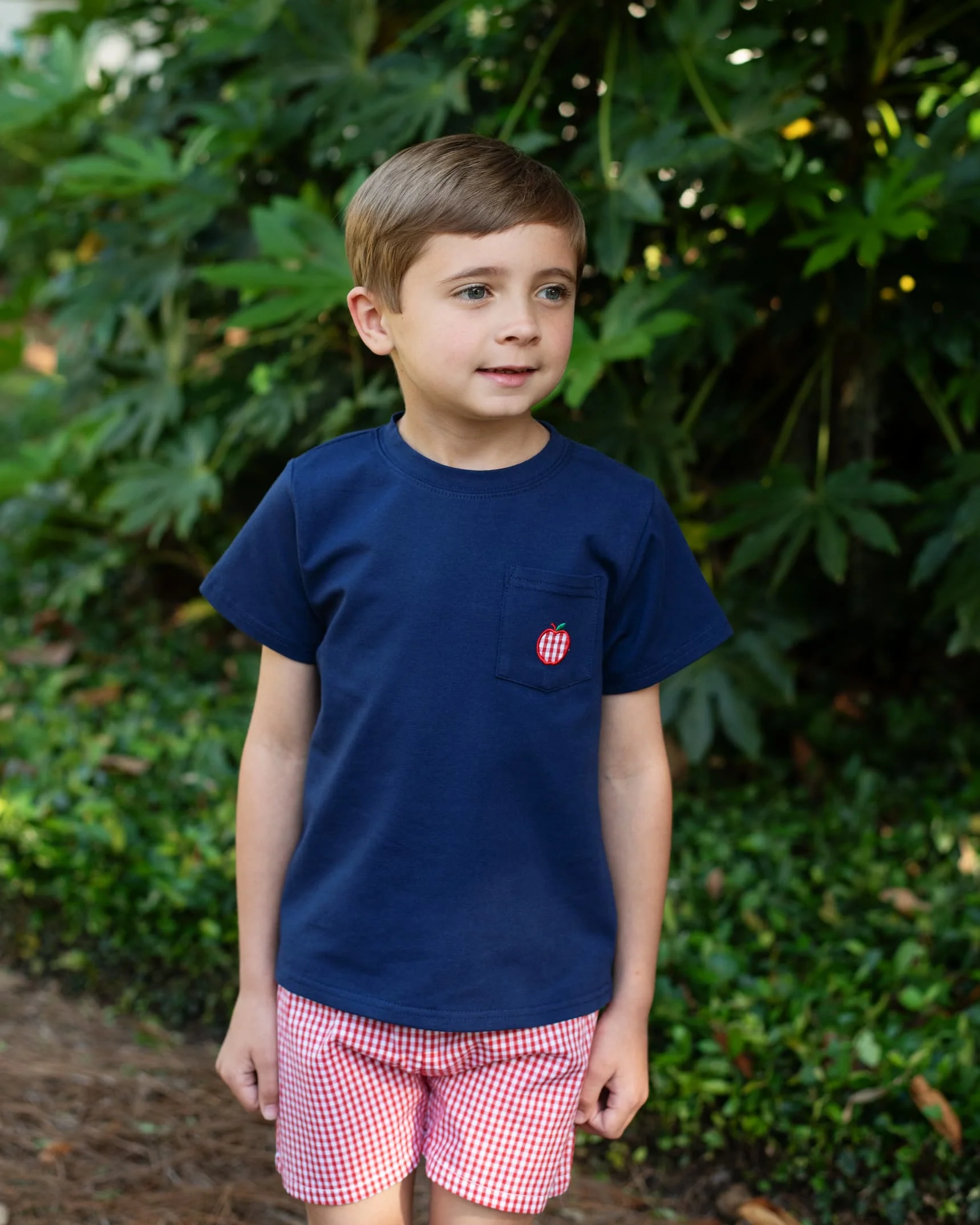 Navy And Red Gingham Apple Short Set - Image 2