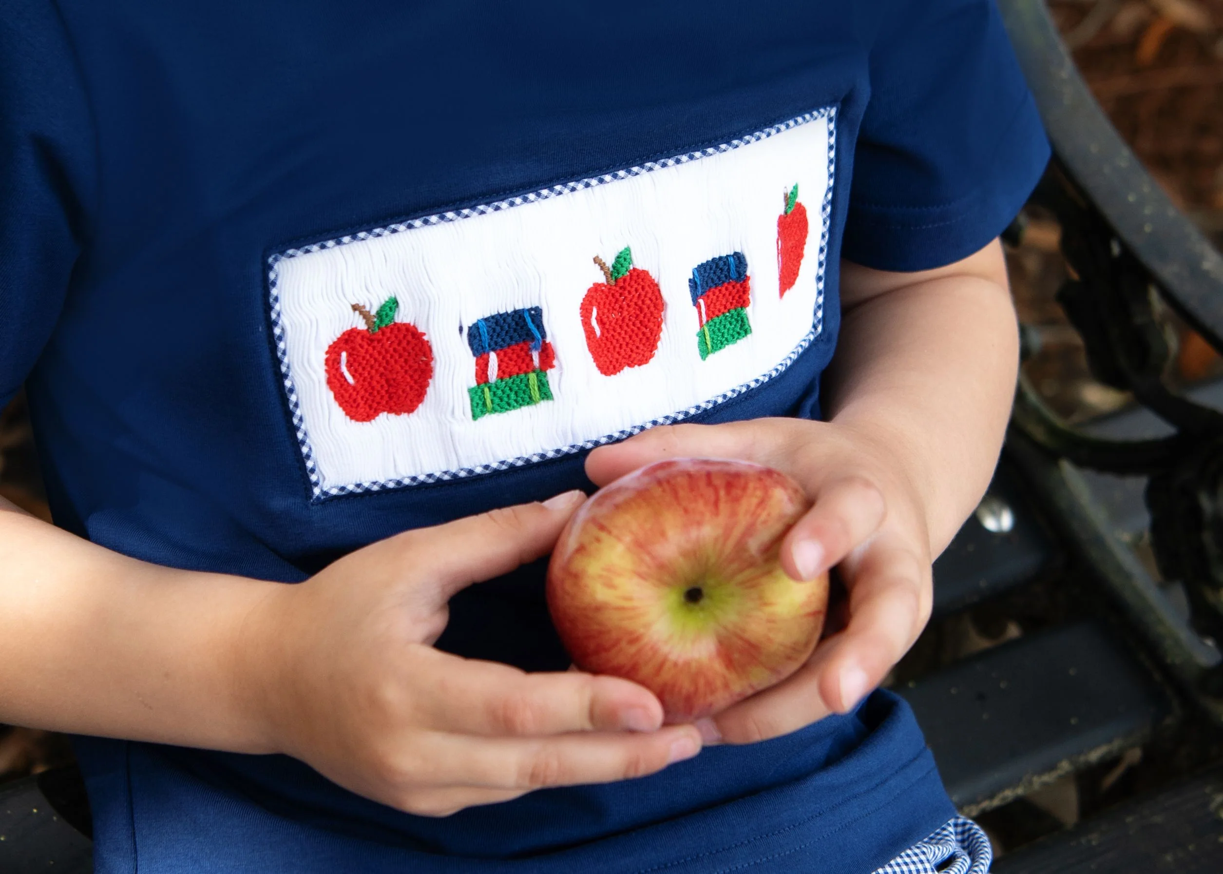 Navy Gingham Smocked Apple And Books Short Set - Image 3