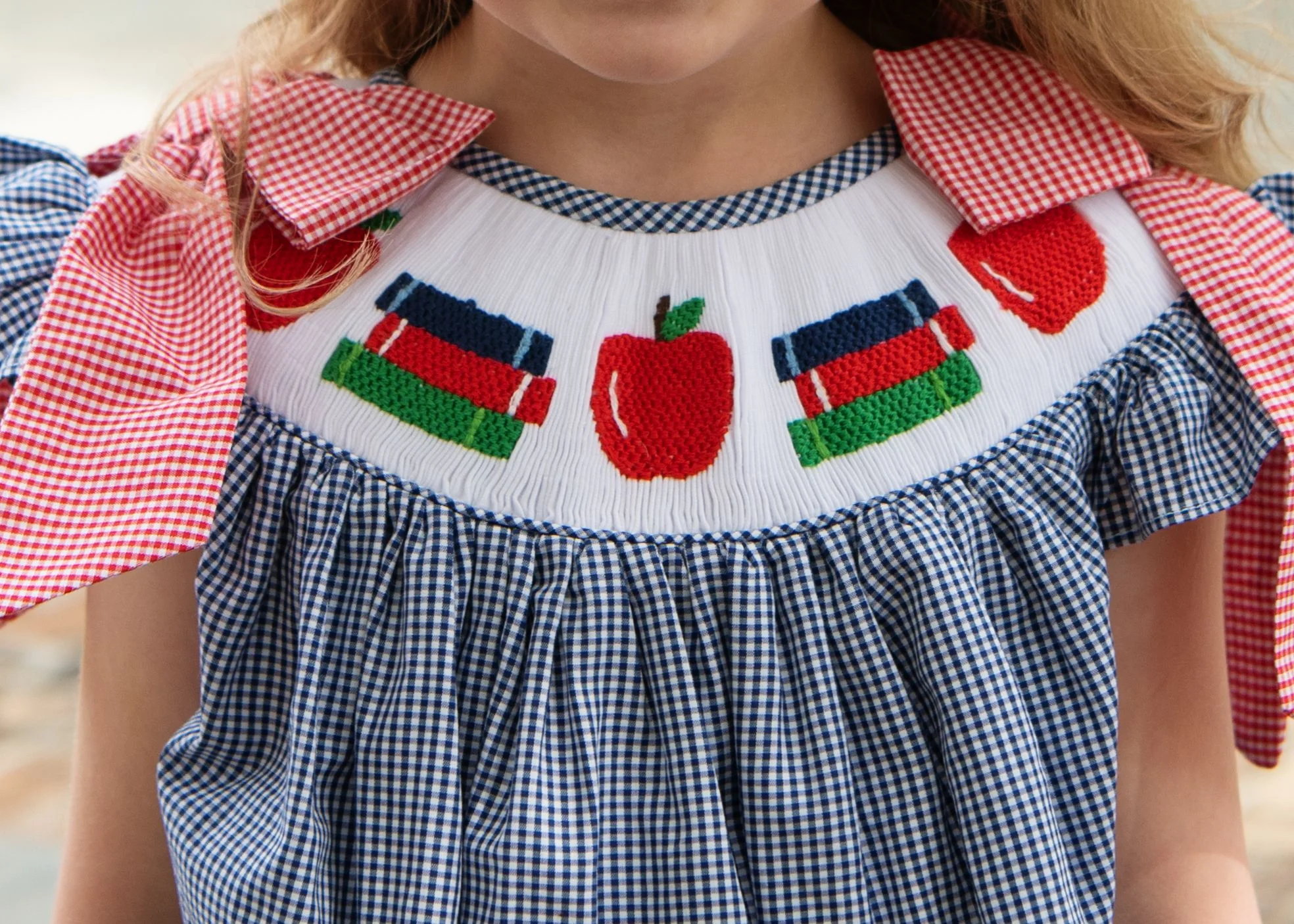 Navy Gingham Smocked Books And Apple Short Set - Image 3